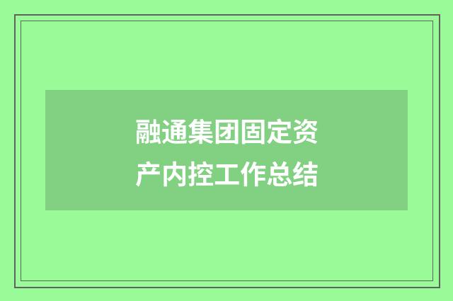 融通集团固定资产内控工作总结