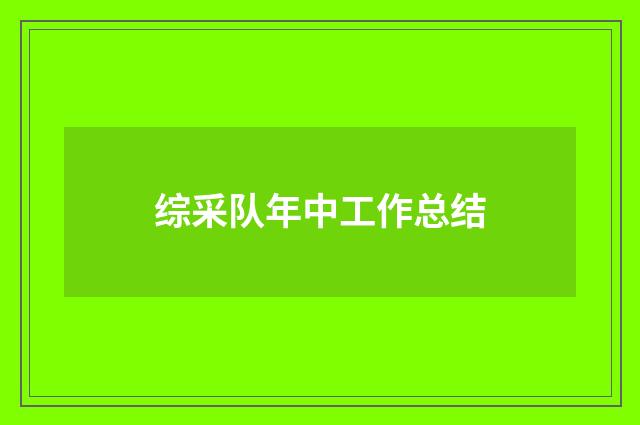 综采队年中工作总结