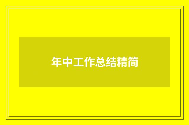 年中工作总结精简