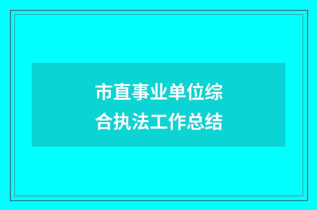 市直事业单位综合执法工作总结