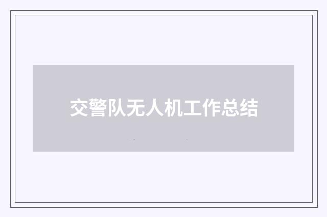 交警队无人机工作总结