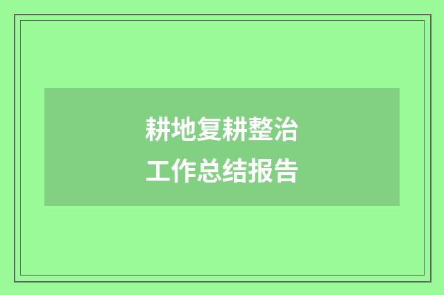 耕地复耕整治工作总结报告