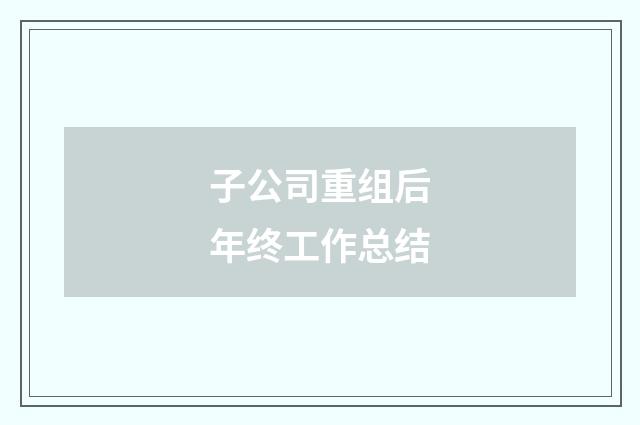 子公司重组后年终工作总结