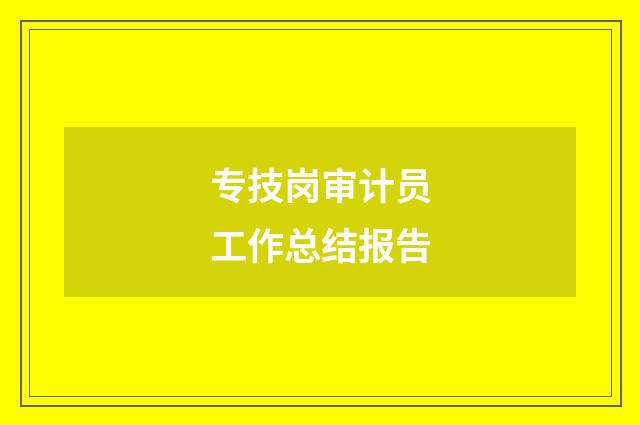 专技岗审计员工作总结报告