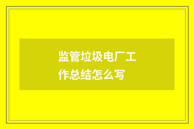 监管垃圾电厂工作总结怎么写