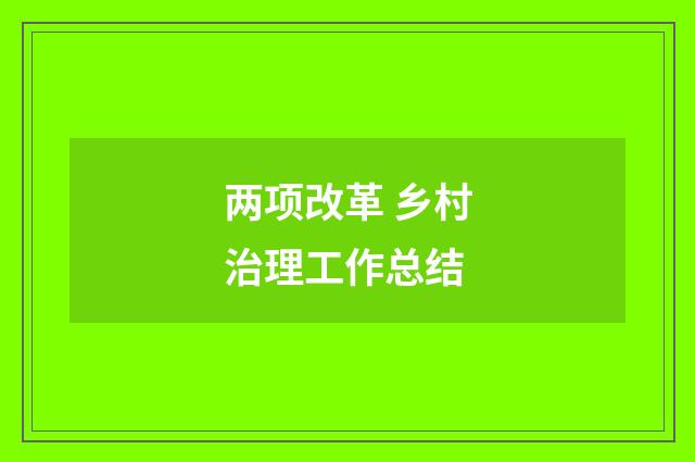 两项改革 乡村治理工作总结