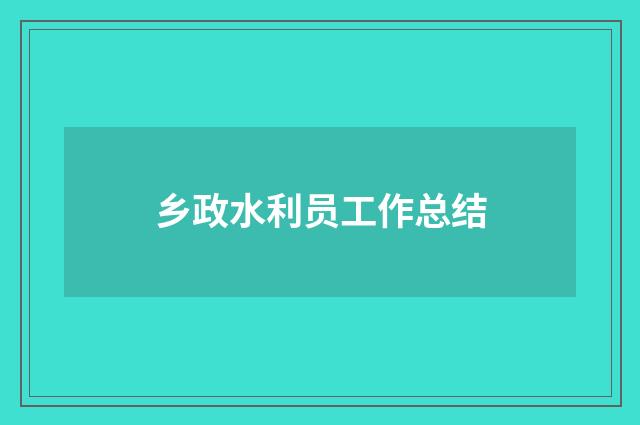 乡政水利员工作总结