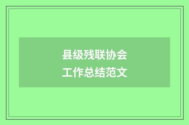 县级残联协会工作总结范文