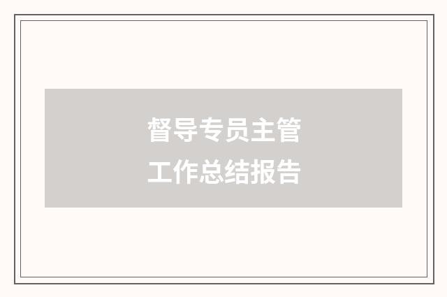 督导专员主管工作总结报告