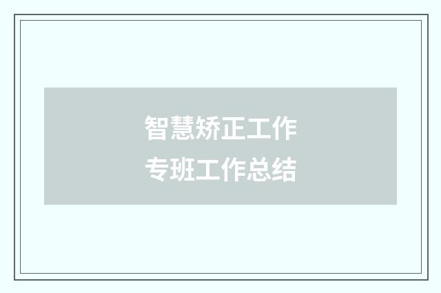 智慧矫正工作专班工作总结
