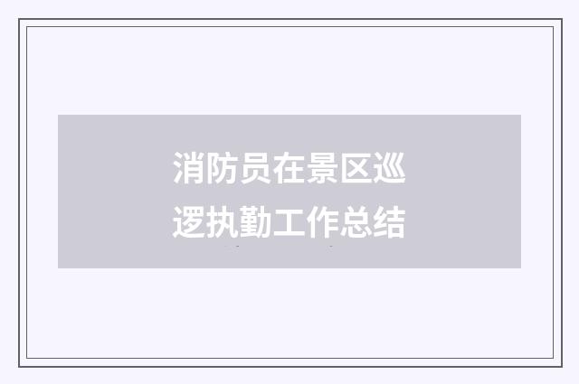 消防员在景区巡逻执勤工作总结