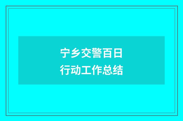 宁乡交警百日行动工作总结