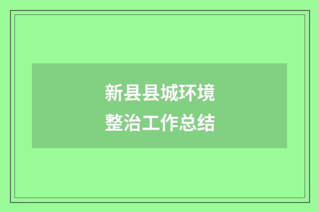 新县县城环境整治工作总结