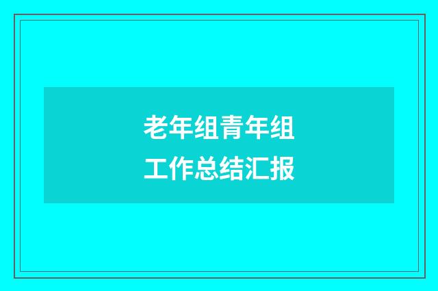 老年组青年组工作总结汇报