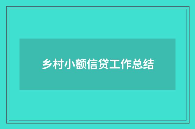 乡村小额信贷工作总结