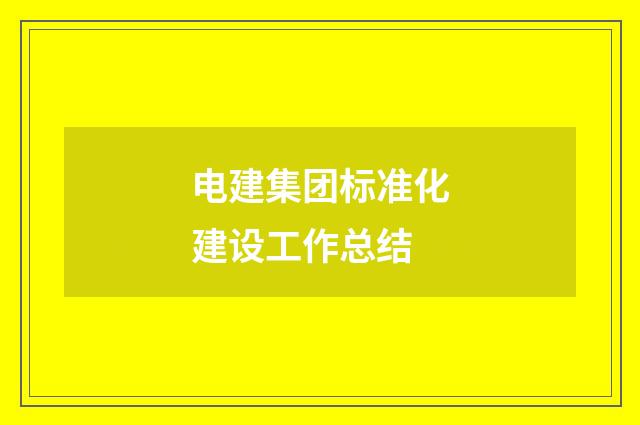 电建集团标准化建设工作总结