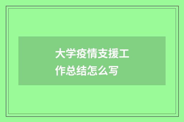 大学疫情支援工作总结怎么写