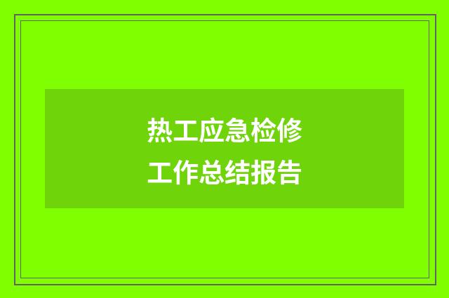 热工应急检修工作总结报告