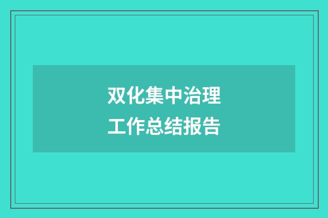 双化集中治理工作总结报告