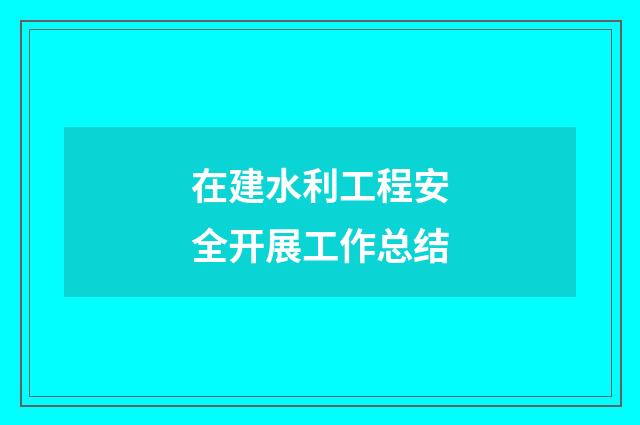 在建水利工程安全开展工作总结