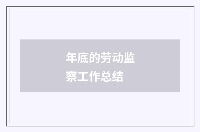 年底的劳动监察工作总结