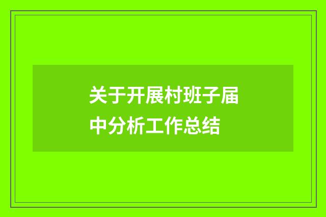 关于开展村班子届中分析工作总结