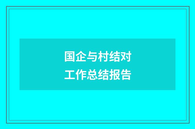 国企与村结对工作总结报告