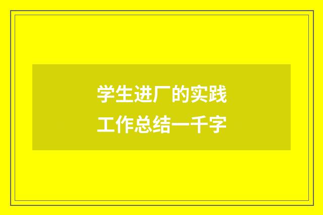 学生进厂的实践工作总结一千字