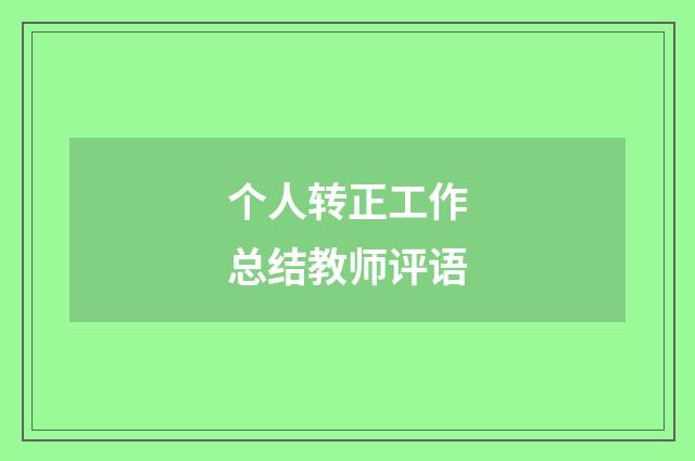 个人转正工作总结教师评语