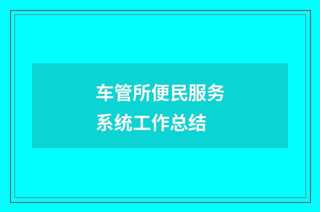 车管所便民服务系统工作总结