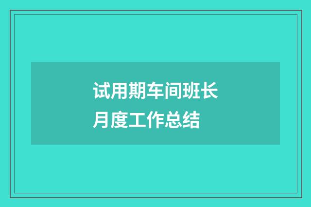 试用期车间班长月度工作总结