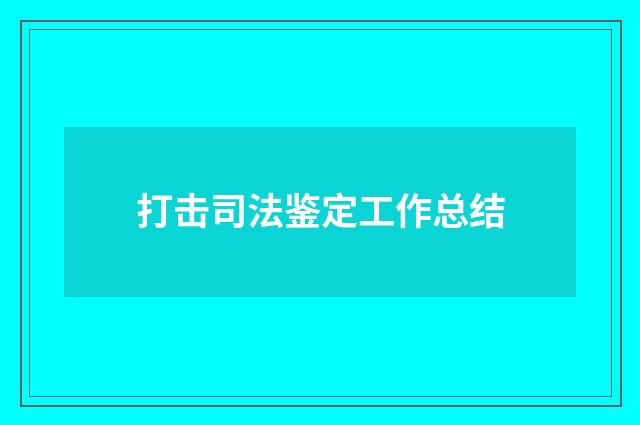 打击司法鉴定工作总结