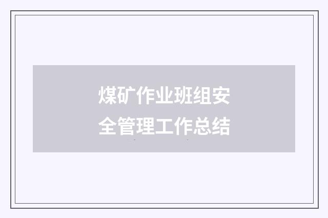 煤矿作业班组安全管理工作总结