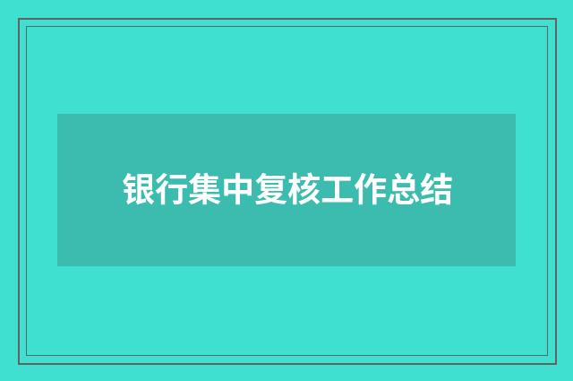 银行集中复核工作总结