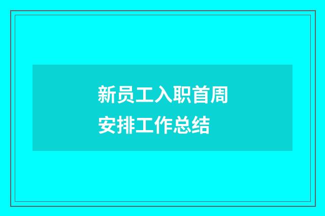 新员工入职首周安排工作总结