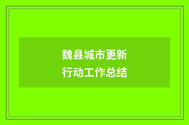 魏县城市更新行动工作总结