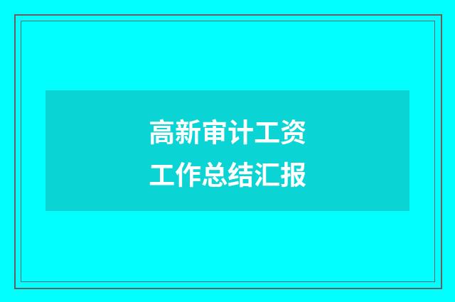 高新审计工资工作总结汇报