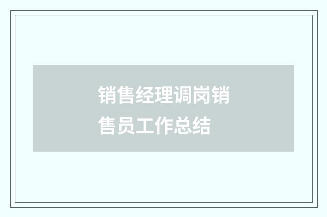 销售经理调岗销售员工作总结