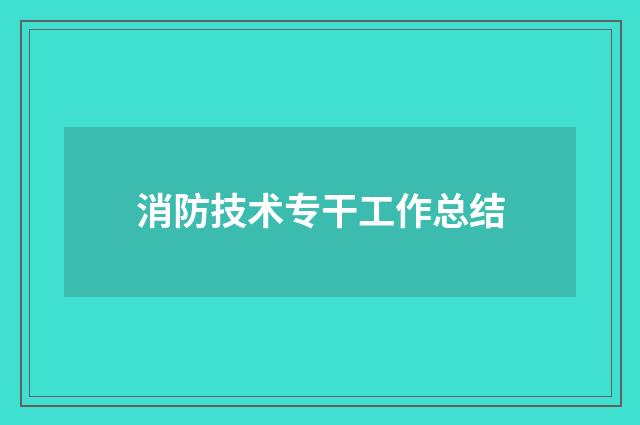 消防技术专干工作总结