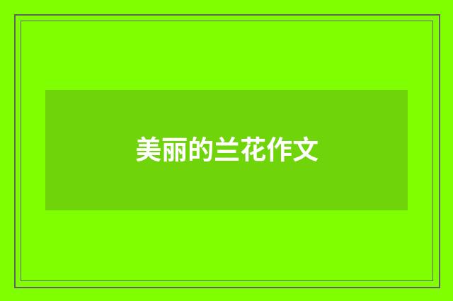 美丽的兰花作文