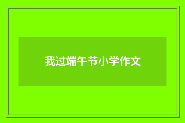 我过端午节小学作文