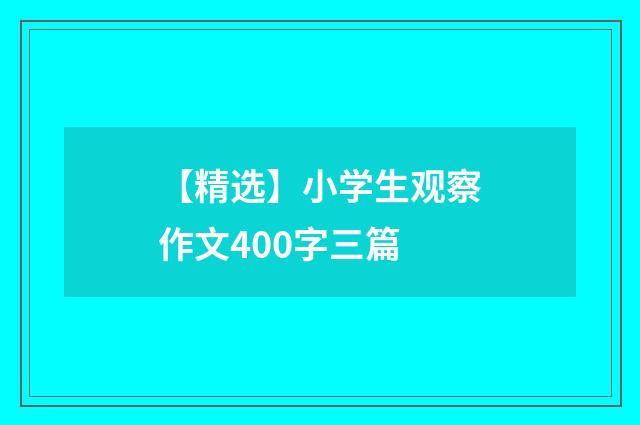 【精选】小学生观察作文400字三篇