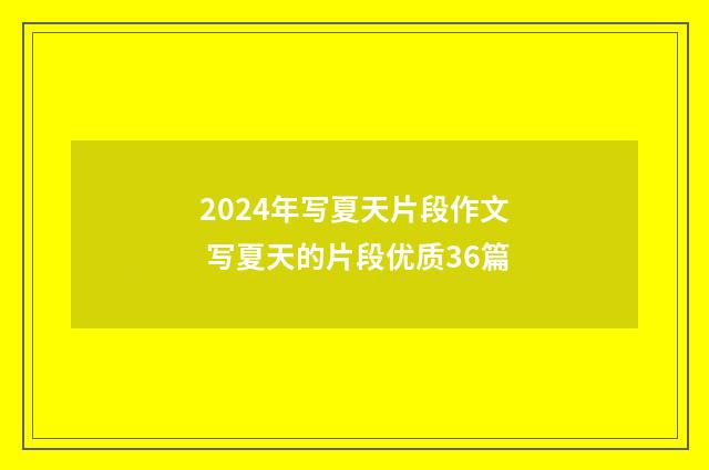 2024年写夏天片段作文 写夏天的片段优质36篇