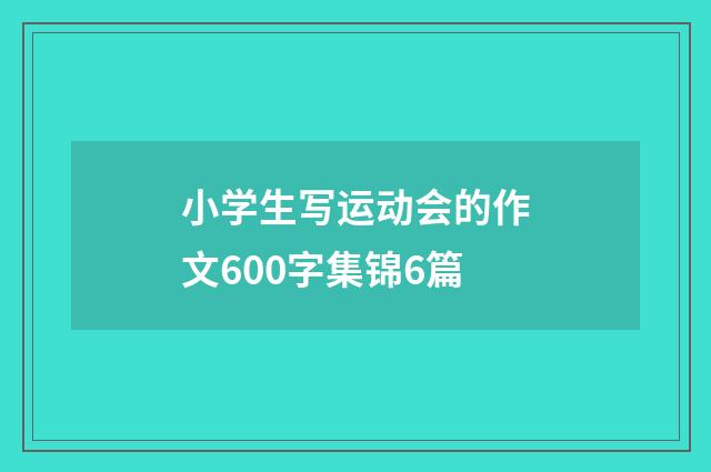 小学生写运动会的作文600字集锦6篇