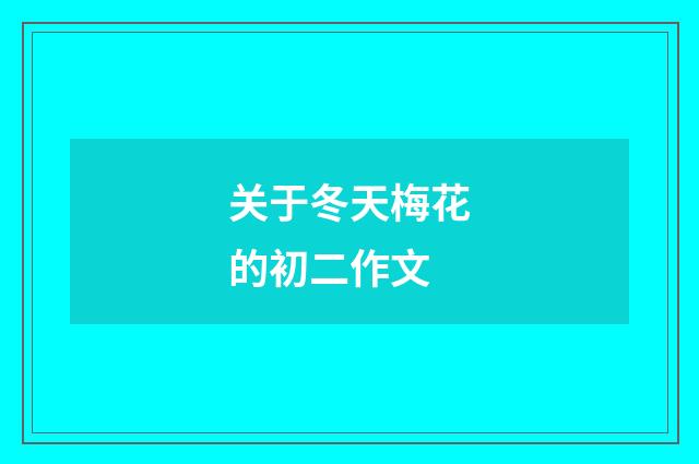 关于冬天梅花的初二作文