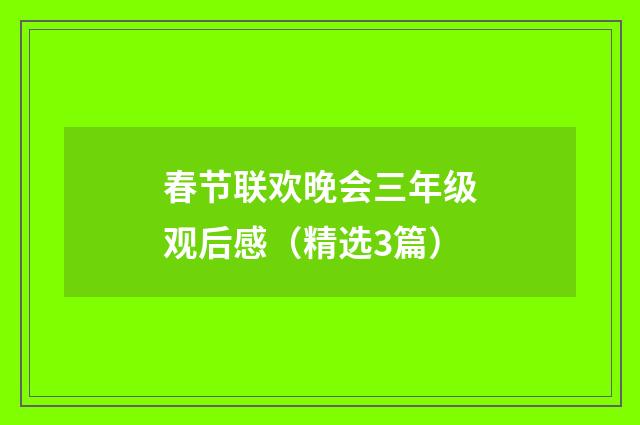 春节联欢晚会三年级观后感（精选3篇）