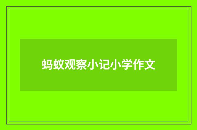 蚂蚁观察小记小学作文