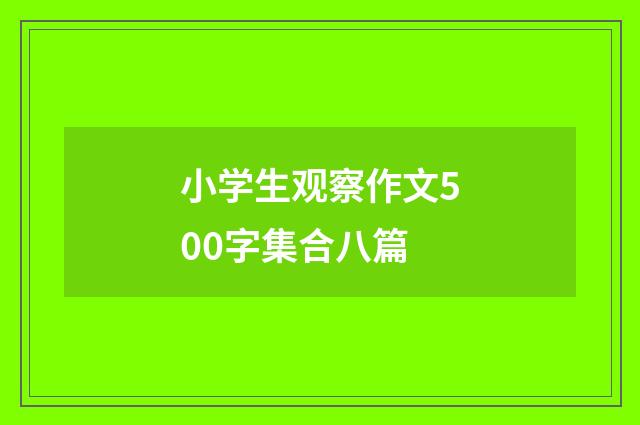 小学生观察作文500字集合八篇