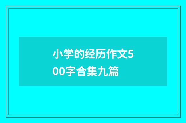 小学的经历作文500字合集九篇