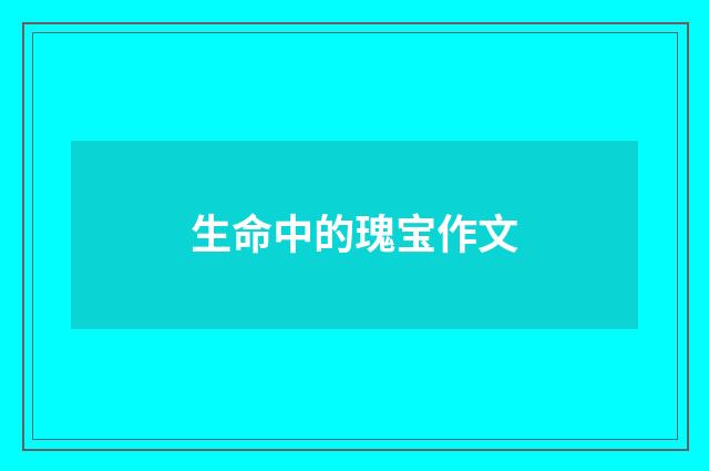 生命中的瑰宝作文